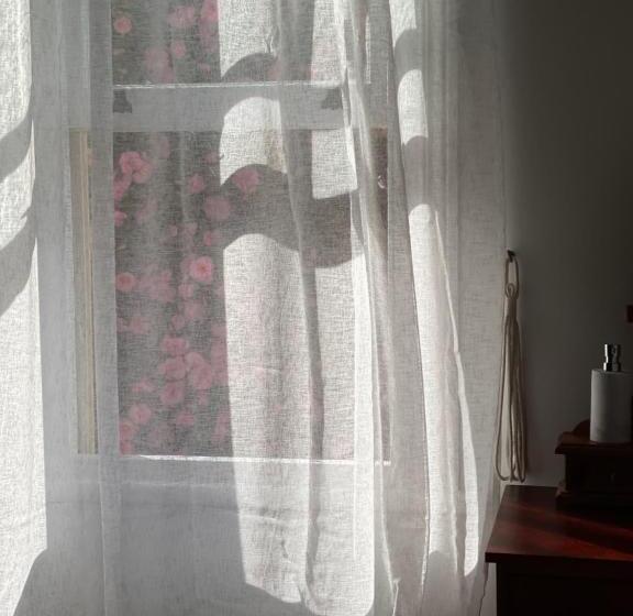 جناح, Cambridge House