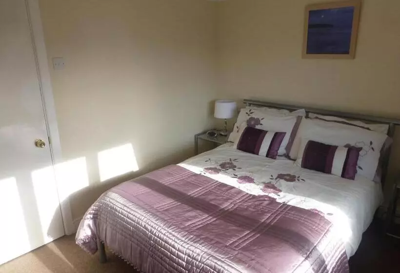 Basic-huone, Beech Lodge Guest House