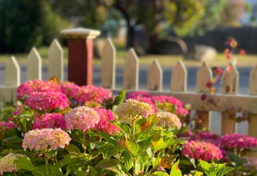 جناح, Cambridge House