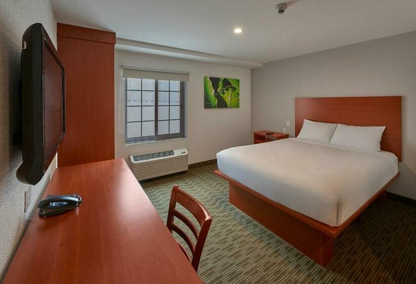 スイート, Extended Suites Monterrey Aeropuerto