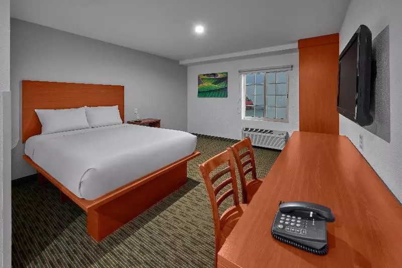 スタンダードルーム, Extended Suites Monterrey Aeropuerto