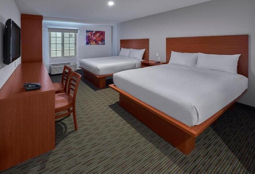 スタンダードルーム, Extended Suites Monterrey Aeropuerto