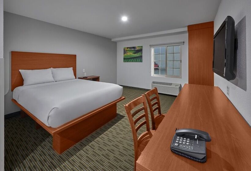 スイート, Extended Suites Monterrey Aeropuerto
