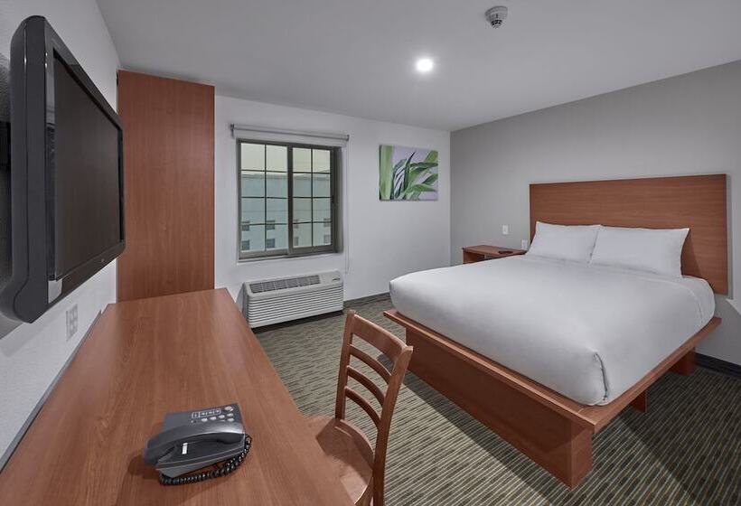 スイート, Extended Suites Monterrey Aeropuerto