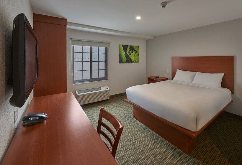 スイート, Extended Suites Monterrey Aeropuerto