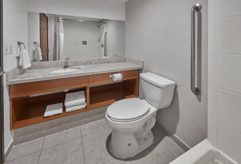 スイート, Extended Suites Monterrey Aeropuerto