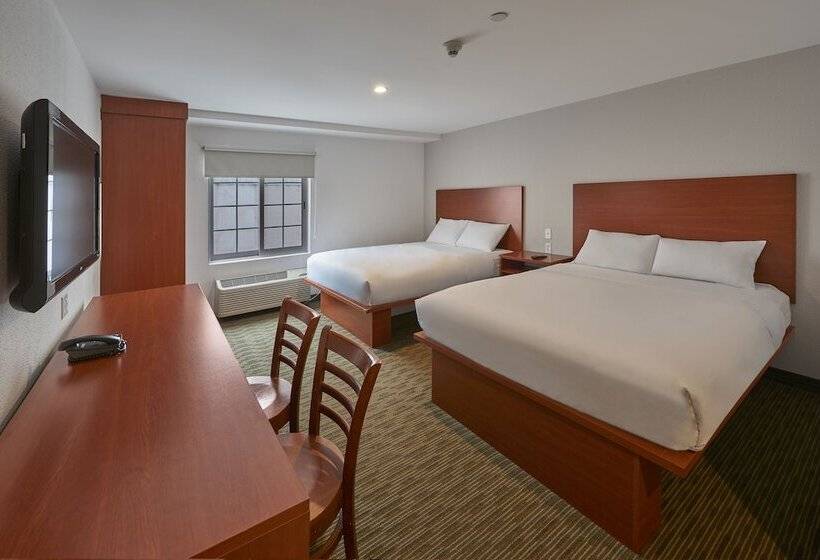 スイート, Extended Suites Monterrey Aeropuerto