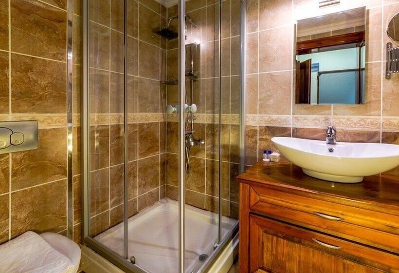 Habitació Estàndard, Palmetto Resort