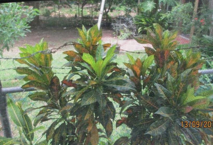 اتاق استاندارد, Tropical Breeze Vacation Home And Apartments