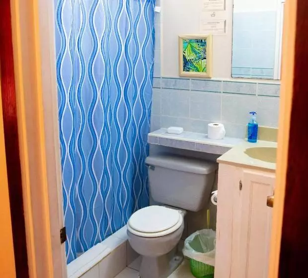 اتاق لوکس, Tropical Breeze Vacation Home And Apartments