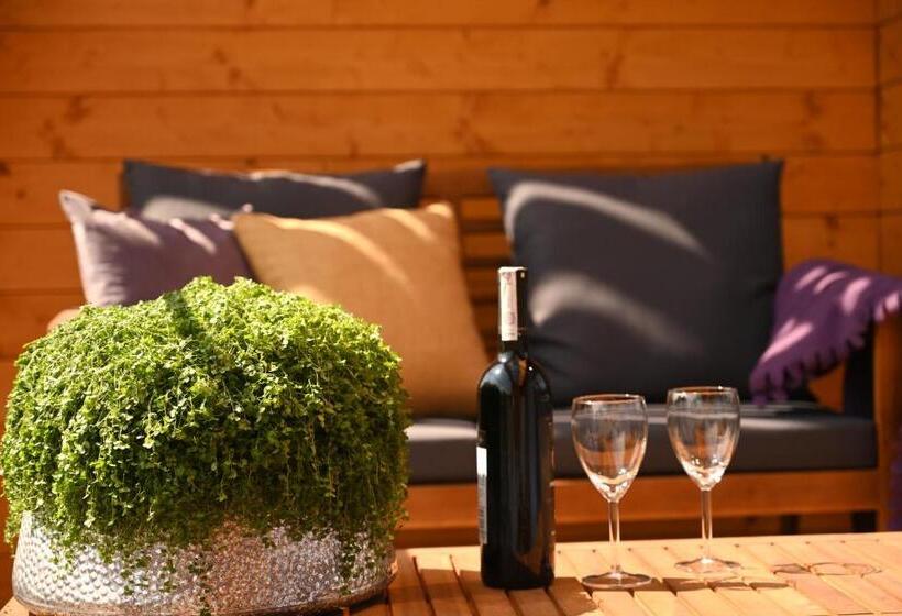 Студио Стандарт с Балконом, Apartamenty U Harrego Boutique Spa Z Klimatyzacja, Balkon, Sauna, Tężnia Parking