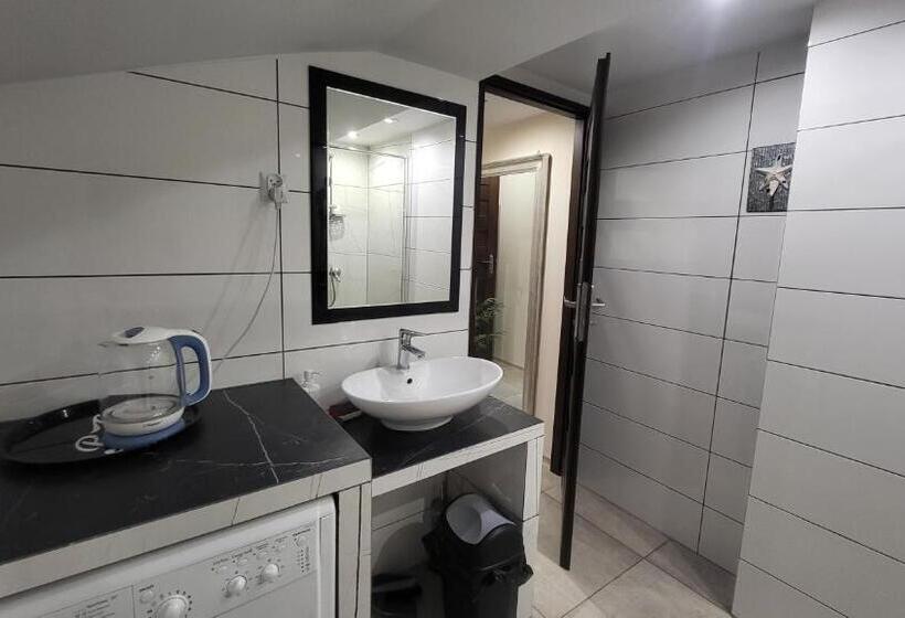 חדר בסיסי, Aparthotel Riva