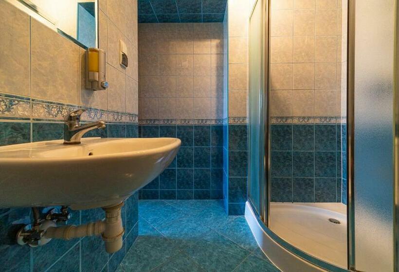 غرفة قياسية, Apartamenty I Pokoje W Willi Na Ubocy