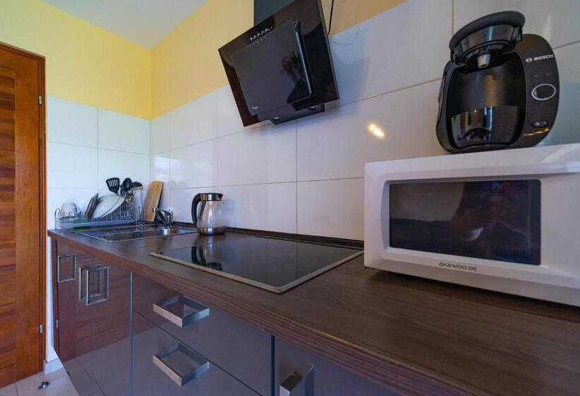 Люкс Повышенной Комфортности, Apartamenty I Pokoje W Willi Na Ubocy