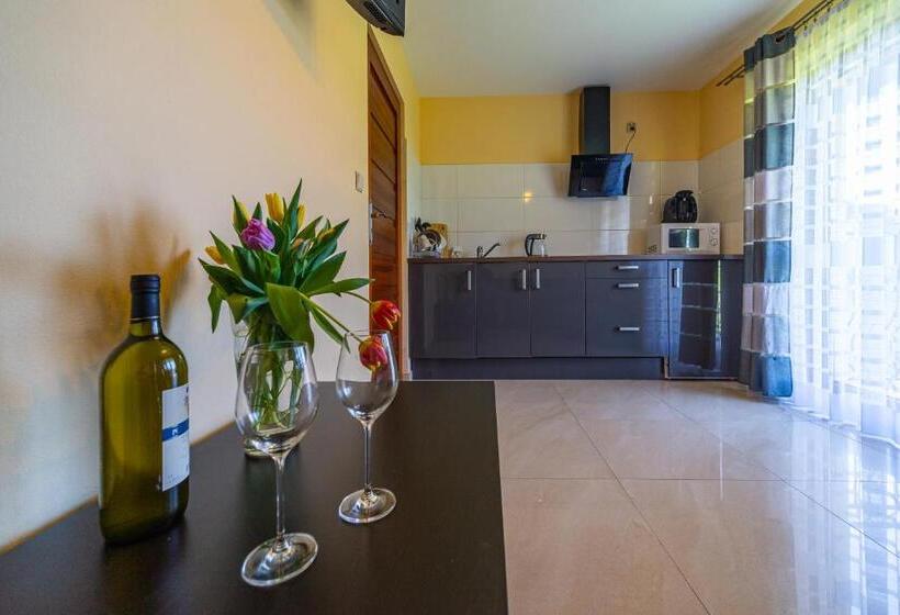 جناح ديلوكس, Apartamenty I Pokoje W Willi Na Ubocy