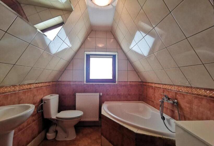 استودیو استاندارد با بالکن, Pokoje Skalnica