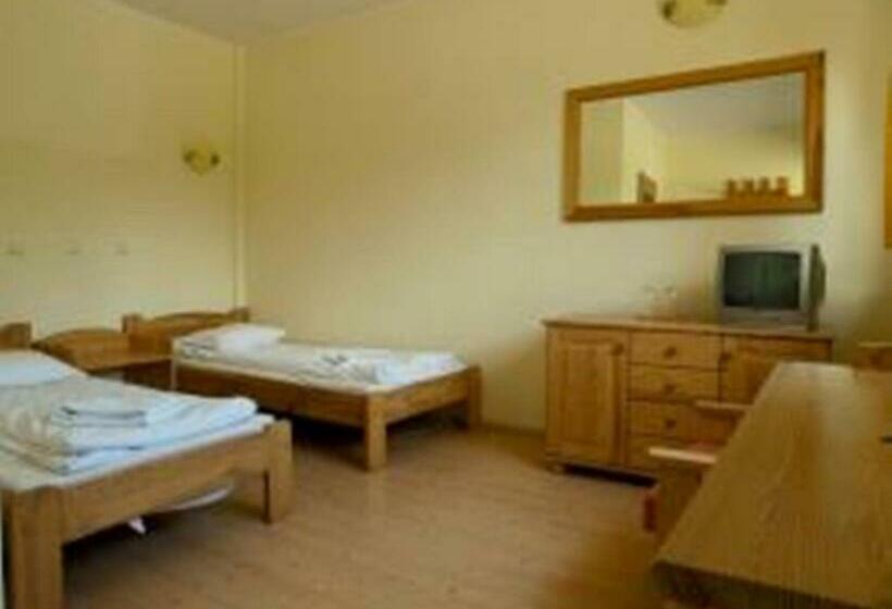 חדר סטנדרט, Pałacyk W Lisewie