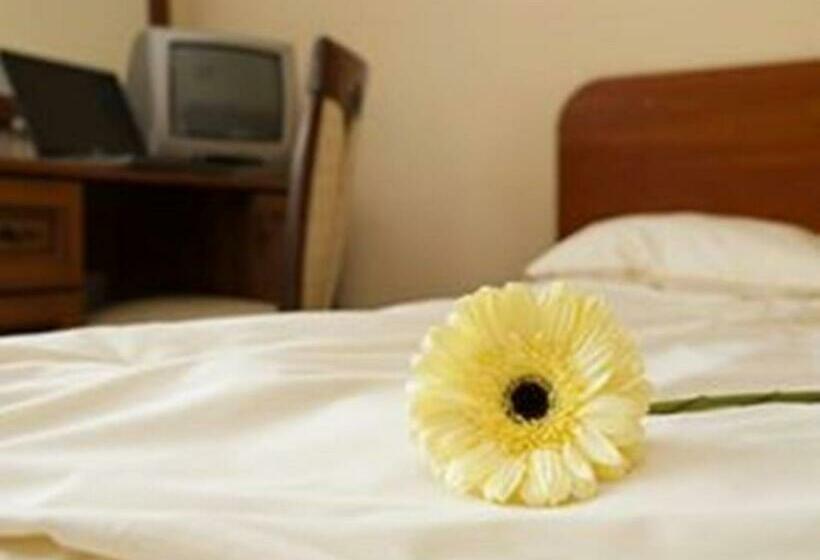 חדר סטנדרט, Pałacyk W Lisewie