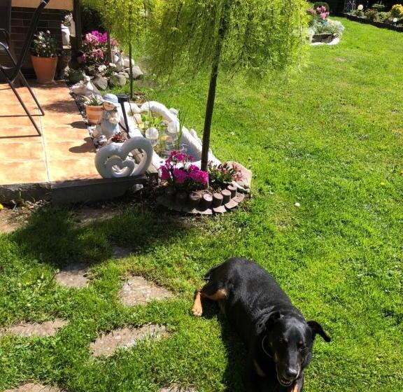 Трехместный Номер Стандарт с Балконом, Ranczo Frodyma