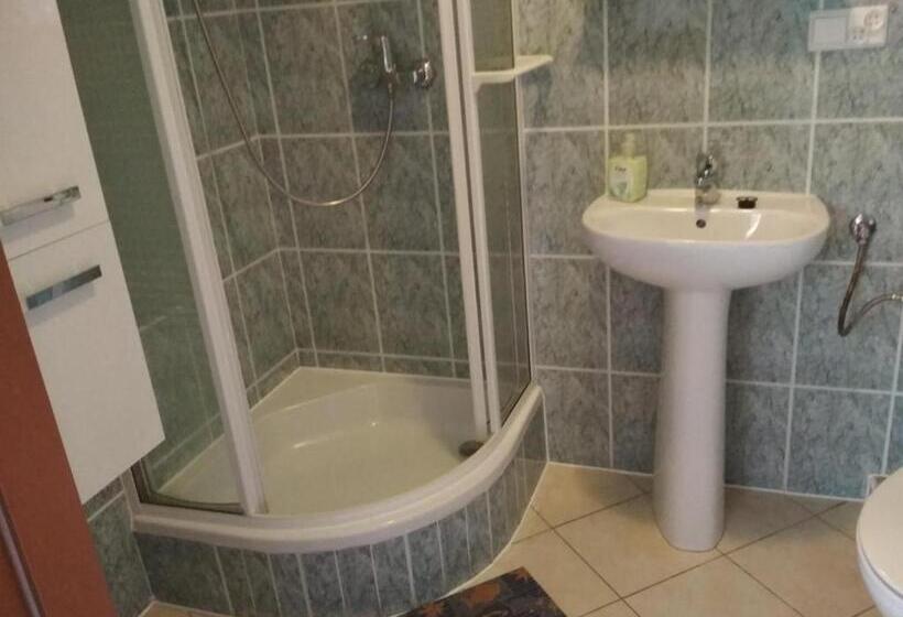 Семейное Студио, Vita Augustów