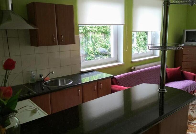 Семейное Студио, Vita Augustów