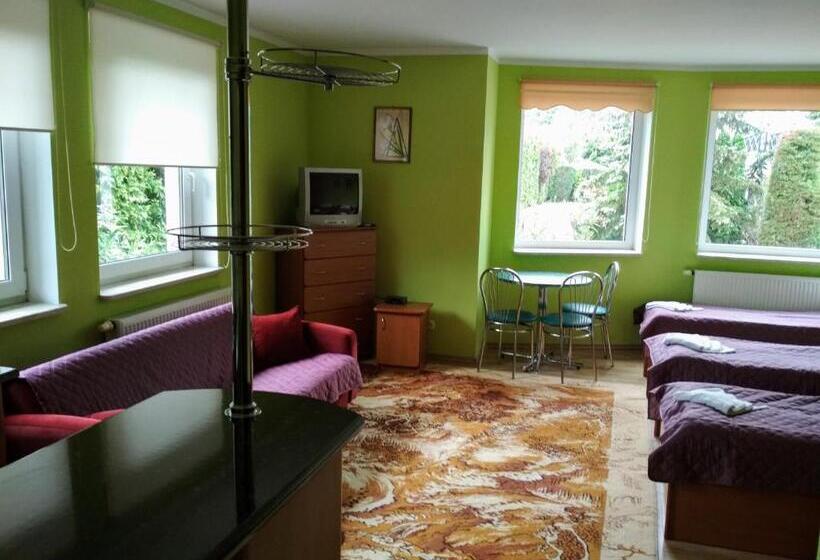 Семейное Студио, Vita Augustów