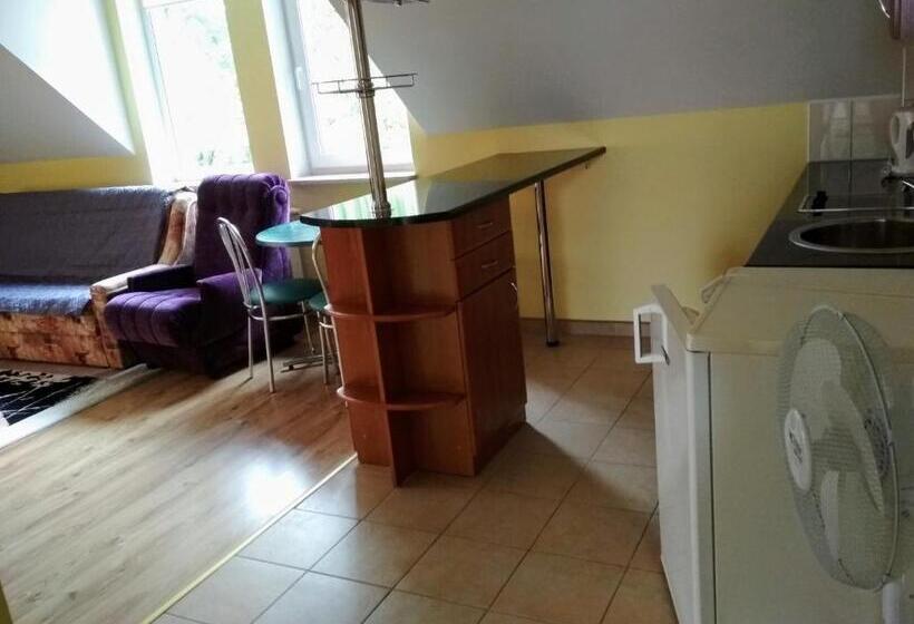 Семейный Номер, Vita Augustów