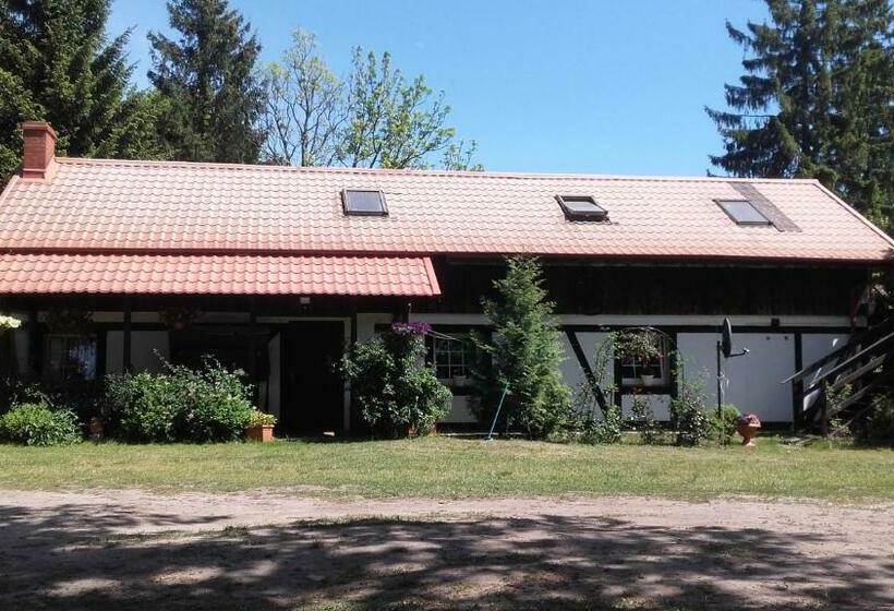 Семейное Бунгало, Agroturystyka Pod Dębami W Klukach