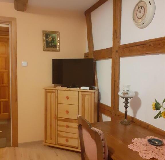 חדר בסיסי, Agroturystyka łysa Góra