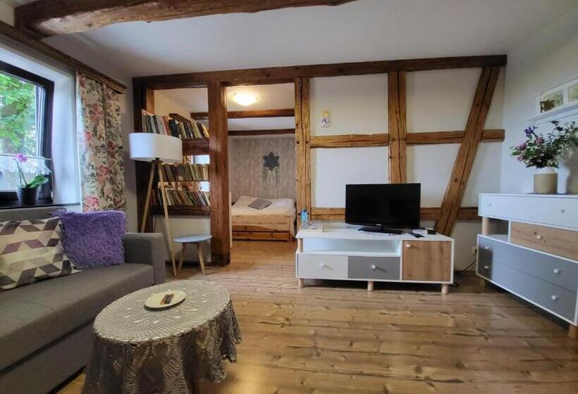 חדר סטנדרט לשלושה, Agroturystyka łysa Góra