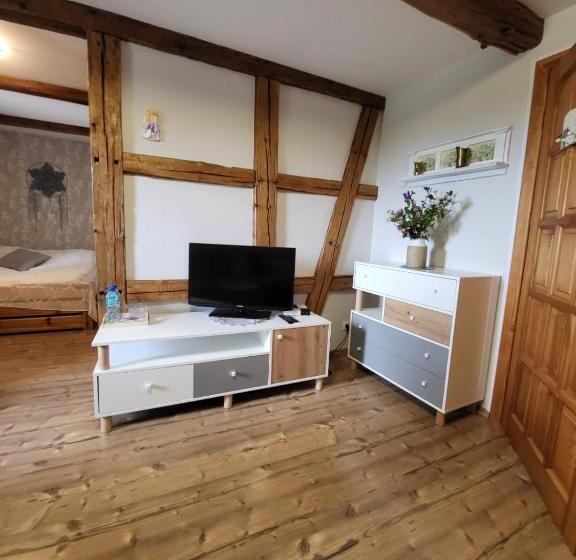 חדר סטנדרט לשלושה, Agroturystyka łysa Góra