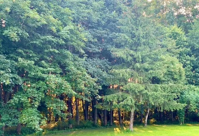 Duplex-huone, Gajówka