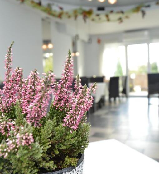 اتاق استاندارد یک نفره, Kamienica Pokoje & Restauracja