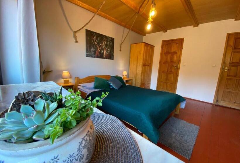 اتاق استاندارد, Gościniec Salmopolski