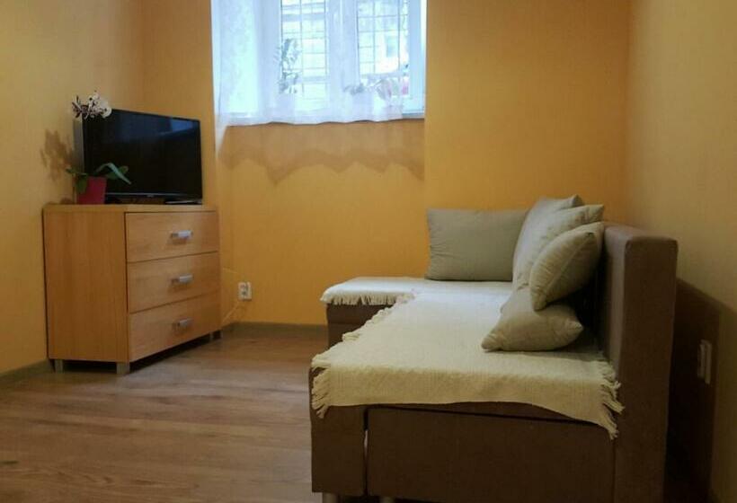 Standard-studio, Pokoje Gościnne Centrum