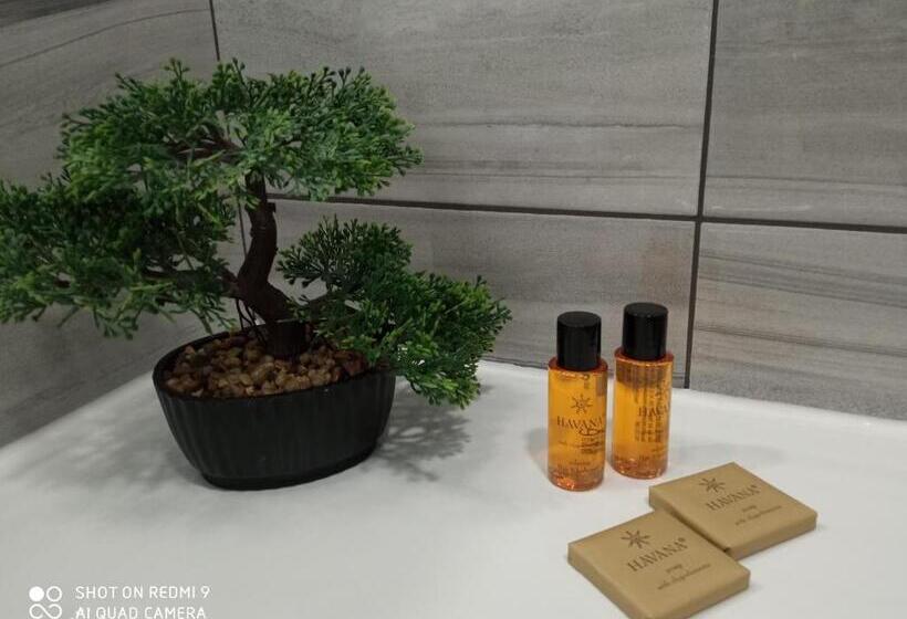 آپارتمان 1 خوابه, Agropex