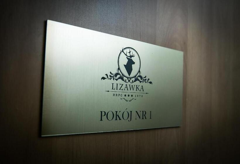 استودیو استاندارد با چشمانداز باغ, Gościniec Lizawka