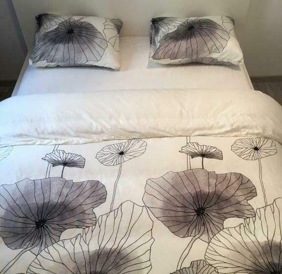 スタンダードルーム, Orion