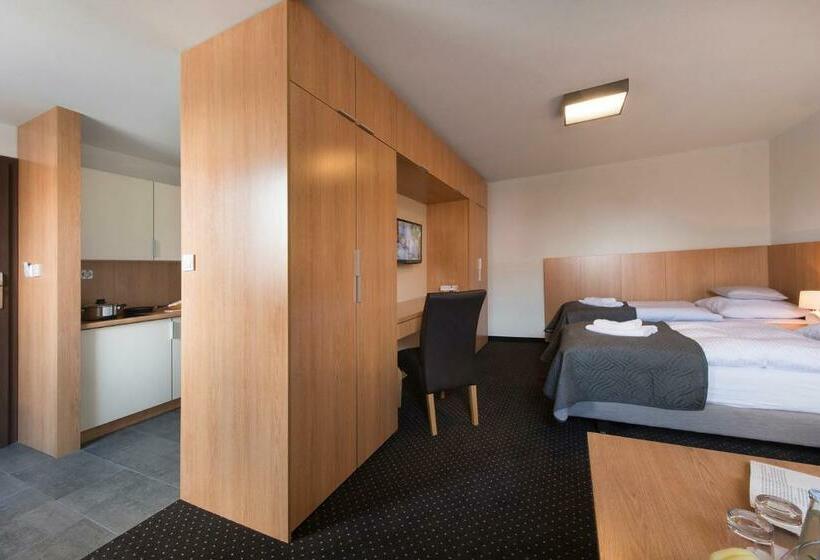 חדר סטודיו סטנדרד, Apartamenty Turek