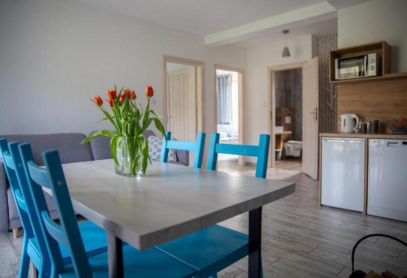 Апартаменты 1 Спальня с Террасой, Apartamenty Zazamcze