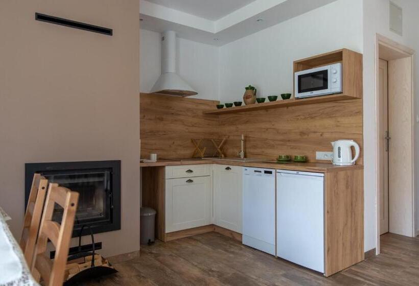 Апартаменты 1 Спальня с Террасой, Apartamenty Zazamcze