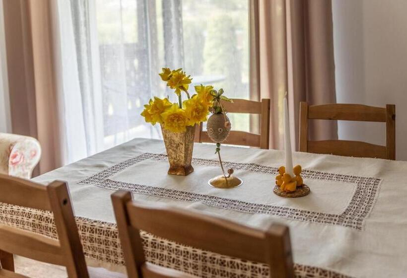 Апартаменты 1 Спальня с Террасой, Apartamenty Zazamcze