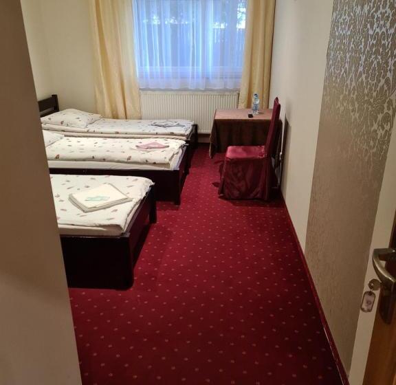 חדר סטנדרט לשלושה, Kamionki