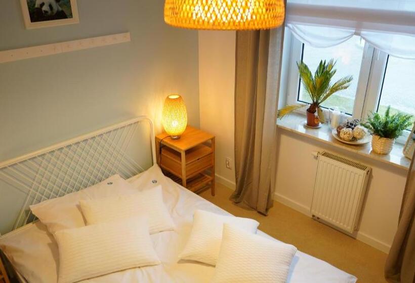 غرفة قياسية فردية, Mcew Studnia