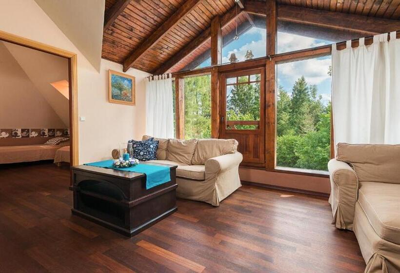 شقة غرفتين, Villa Bezycer
