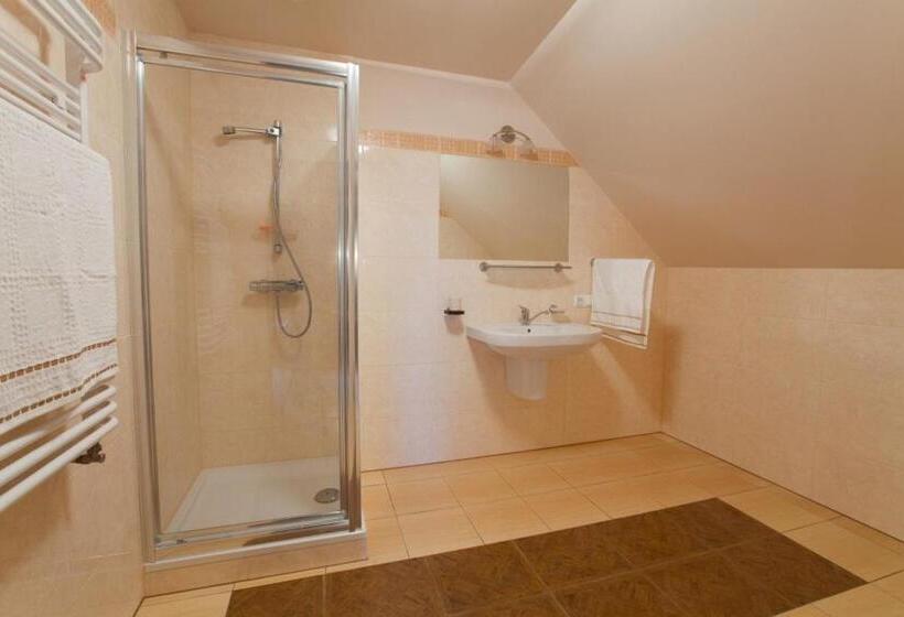 חדר ביזנס, Villa Bezycer