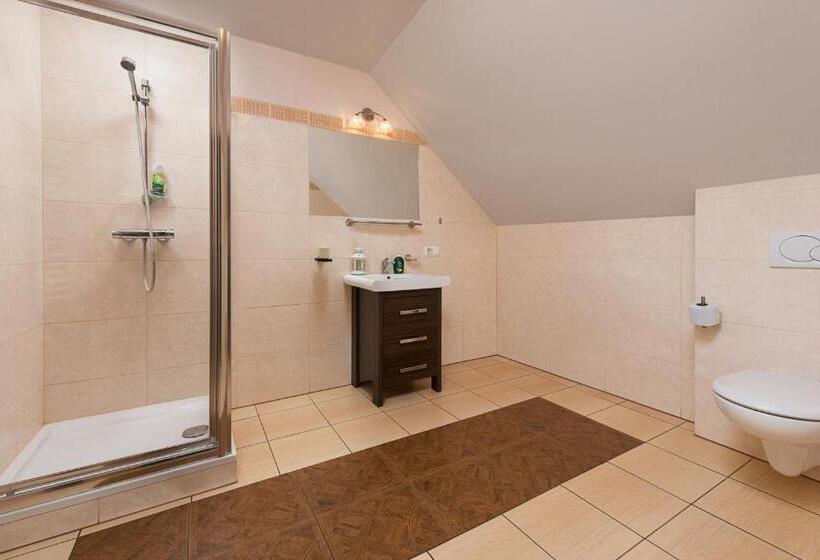 חדר ביזנס, Villa Bezycer