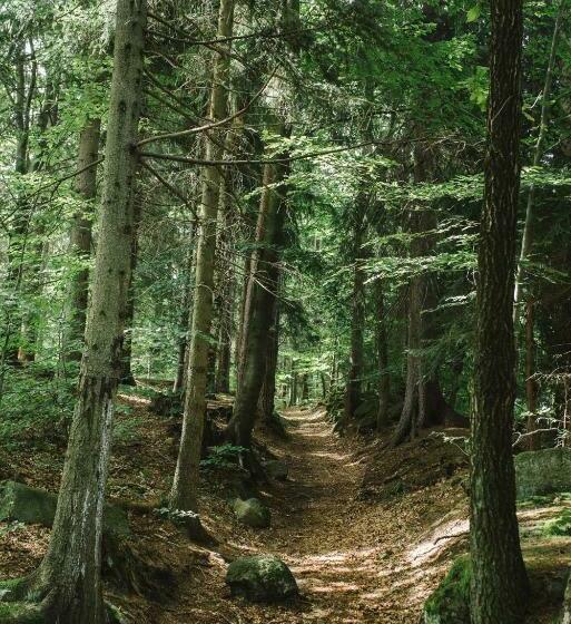 سوئیت 2 خوابه, Weranda Z Widokiem Na Karkonosze