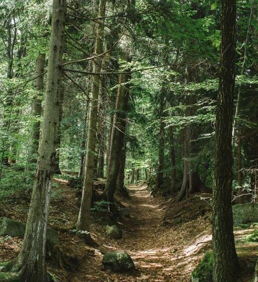 اتاق استاندارد سه تخته با بالکن, Weranda Z Widokiem Na Karkonosze