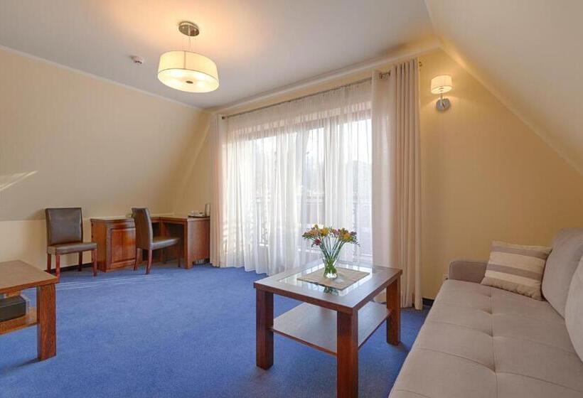 Номер Стандарт, Willa Kmicic